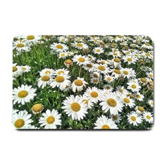 Columbus Commons Shasta Daisies Small Doormat 