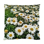 Columbus Commons Shasta Daisies Standard Cushion Case (One Side) Front