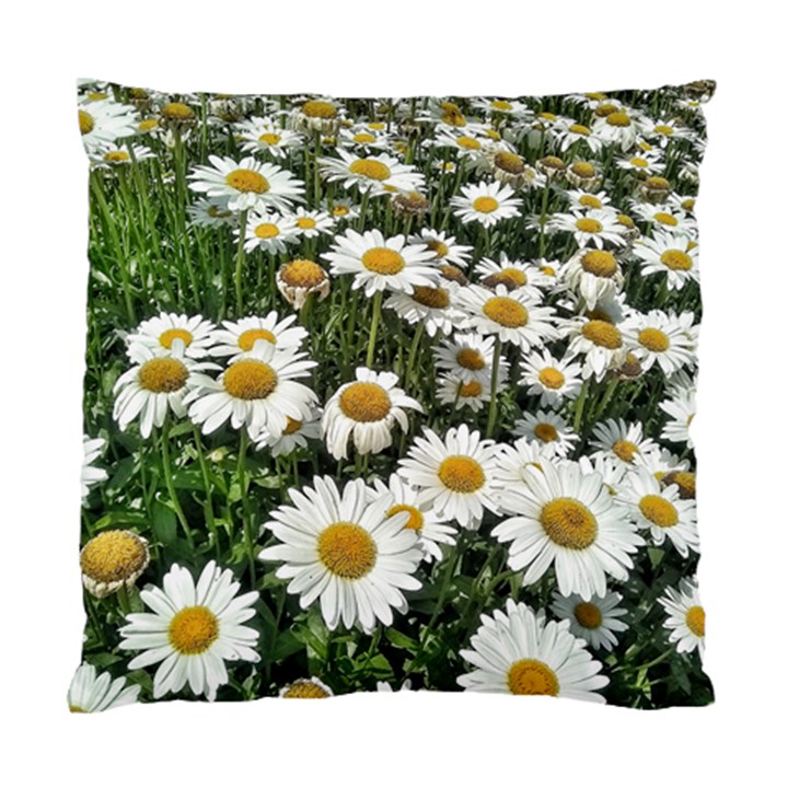 Columbus Commons Shasta Daisies Standard Cushion Case (One Side)