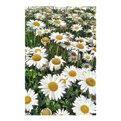 Columbus Commons Shasta Daisies Shower Curtain 48  x 72  (Small) 