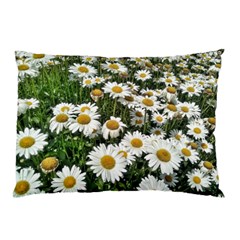 Columbus Commons Shasta Daisies Pillow Case (Two Sides)