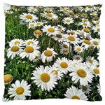 Columbus Commons Shasta Daisies Large Cushion Case (One Side) Front