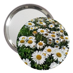 Columbus Commons Shasta Daisies 3  Handbag Mirrors