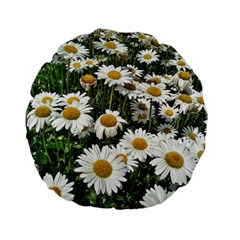 Columbus Commons Shasta Daisies Standard 15  Premium Round Cushions