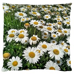 Columbus Commons Shasta Daisies Standard Flano Cushion Case (Two Sides)