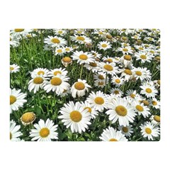 Columbus Commons Shasta Daisies Double Sided Flano Blanket (Mini) 