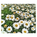 Columbus Commons Shasta Daisies Double Sided Flano Blanket (Small)  50 x40  Blanket Back