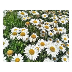 Columbus Commons Shasta Daisies Double Sided Flano Blanket (Large) 