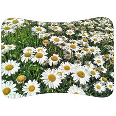 Columbus Commons Shasta Daisies Velour Seat Head Rest Cushion