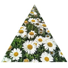 Columbus Commons Shasta Daisies Wooden Puzzle Triangle