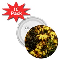 Echinacea Paradoxa 1 75  Buttons (10 Pack) by Riverwoman