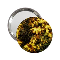 Echinacea paradoxa 2.25  Handbag Mirrors