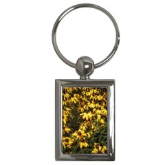 Echinacea paradoxa Key Chain (Rectangle)