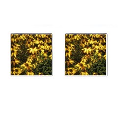 Echinacea paradoxa Cufflinks (Square)