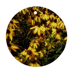 Echinacea paradoxa Round Ornament (Two Sides)