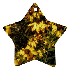 Echinacea paradoxa Star Ornament (Two Sides)