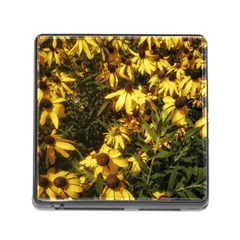 Echinacea paradoxa Memory Card Reader (Square 5 Slot)