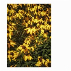 Echinacea paradoxa Small Garden Flag (Two Sides)