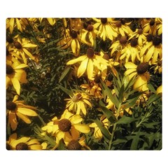 Echinacea paradoxa Double Sided Flano Blanket (Small) 