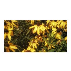 Echinacea paradoxa Satin Wrap