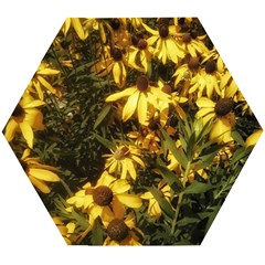 Echinacea paradoxa Wooden Puzzle Hexagon