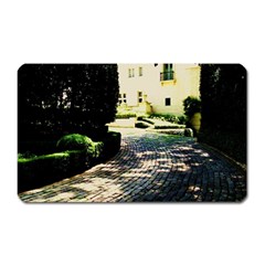 Hot Day In Dallas 1 Magnet (rectangular) by bestdesignintheworld