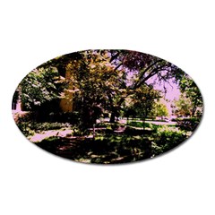 Hot Day In Dallas 3 Oval Magnet by bestdesignintheworld