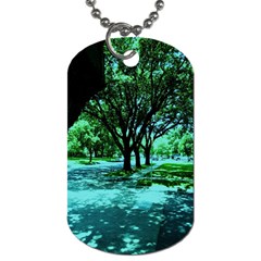 Hot Day In Dallas 5 Dog Tag (two Sides) by bestdesignintheworld