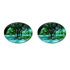 Hot Day In Dallas 5 Cufflinks (oval) by bestdesignintheworld