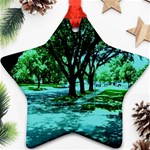 Hot Day In Dallas 5 Star Ornament (Two Sides) Front