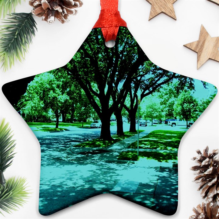 Hot Day In Dallas 5 Star Ornament (Two Sides)