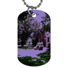 Hot Day In Dallas 4 Dog Tag (two Sides) by bestdesignintheworld