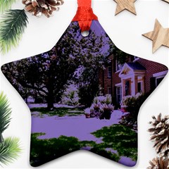 Hot Day In Dallas 4 Star Ornament (two Sides) by bestdesignintheworld