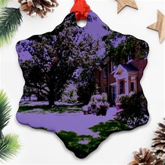 Hot Day In Dallas 4 Ornament (snowflake) by bestdesignintheworld