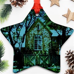 Hot Day In Dallas 8 Ornament (star) by bestdesignintheworld