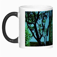 Hot Day In Dallas 8 Morph Mugs by bestdesignintheworld