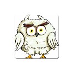 Owl Bird Eyes Cartoon Good Square Magnet Front