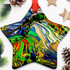 Artistic Nature Painting Star Ornament (two Sides) by Sudhe