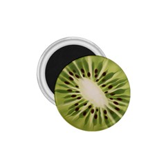 Kiwi Fruit Fresh Green Tasty Food 1 75  Magnets by Simbadda