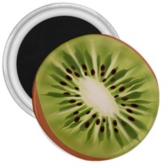 Kiwi Fruit Fresh Green Tasty Food 3  Magnets by Simbadda