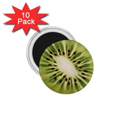 Kiwi Fruit Fresh Green Tasty Food 1 75  Magnets (10 Pack)  by Simbadda