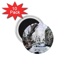 Tree Waterfall Landscape Nature 1 75  Magnets (10 Pack)  by Simbadda