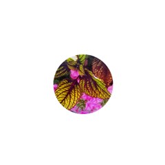 Coleus & Petunia 1  Mini Buttons by Riverwoman