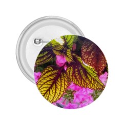 Coleus & Petunia 2 25  Buttons by Riverwoman