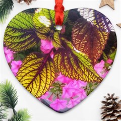 Coleus & Petunia Ornament (heart) by Riverwoman