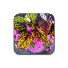 Coleus & Petunia Rubber Coaster (square)  by Riverwoman