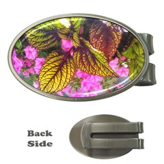 Coleus & Petunia Money Clips (oval)  by Riverwoman