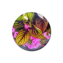 Coleus & Petunia Rubber Round Coaster (4 Pack)  by Riverwoman