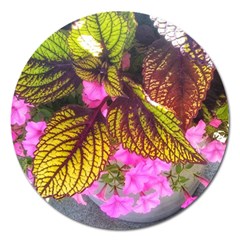 Coleus & Petunia Magnet 5  (round) by Riverwoman