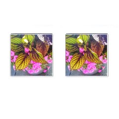 Coleus & Petunia Cufflinks (square) by Riverwoman